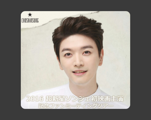 実績のポスター